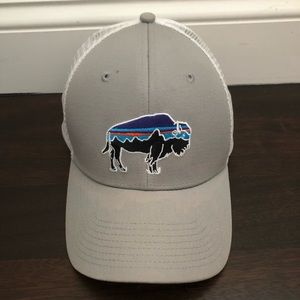 Patagonia trucker hat
